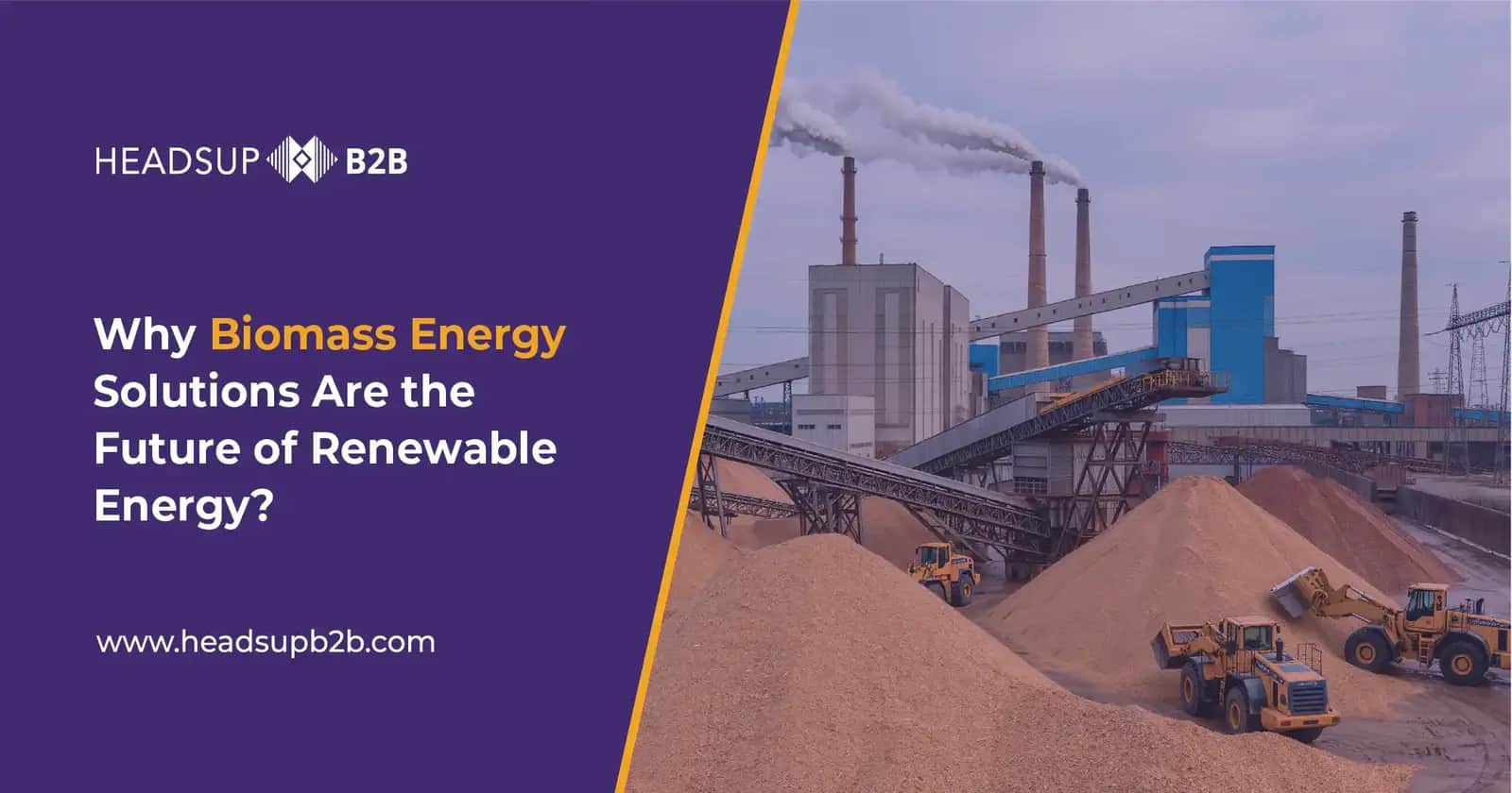 Why Biomass Energy Solutions Are the Future of Renewable Energy?